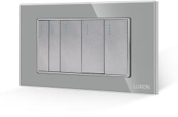 Luxion Intrerupator Mecanic 5 Posturi LUXION cu Rama din Sticla, Standard Italian, 4M - culoare gri