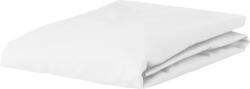 Essenza Cearșaf cu elastic Minte 200 x 200 cm alb (401244-103-106)