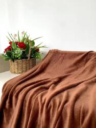  Mikroplüss pléd SOFT, barna Méret: 200 x 220 cm