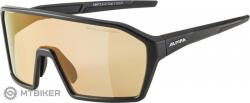 Alpina Ochelari ALPINA RAM Q-LITE V, negru mat