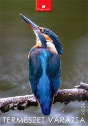 Dayliner Naptár, fali, DAYLINER, "Természet varázsa (CONFATVB4U)