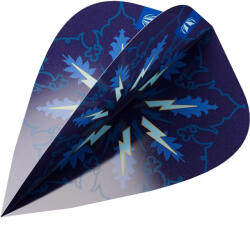 Target Darts toll Target ProUltra Phil Taylor Power Gx2 Kite