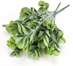 Babér csokor világoszöld - kosarbolt