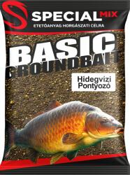 Speciál Mix Hidegvízi PONTYOZÓ Etetőanyag 1 kg