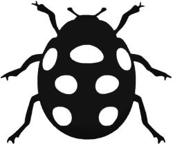 Stickify Bogárhölgy "2" Autómatrica