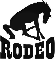 Stickify RODEO matrica