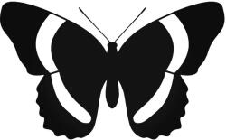 Stickify Pillangó 4 autómatrica