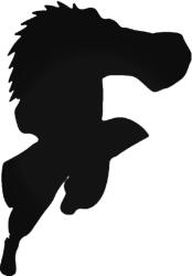 Stickify Naruto Choji Akimichi "1" Autómatrica