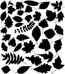 Stickify Levelek matrica