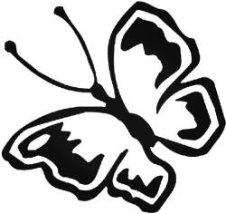 Stickify Pillangó 3 autómatrica