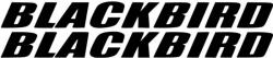 Stickify Honda Blackbird matrica készlet