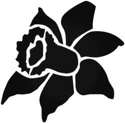 Stickify Nárcisz Autómatrica
