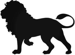 Stickify Sörényes Autómatrica