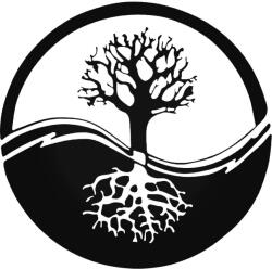 Stickify Yin-Yang FA Autómatrica