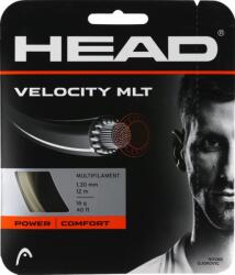 Head Tenisz húr Head Velocity MLT (12 m) - Természetes (281404-NT)