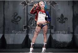 Harley Quinn Poszter Posing, 61x90cm, Többszínű (poster242-7777777777777785569)