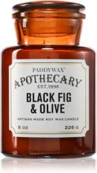 Paddywax Apothecary Fig & Olive ароматна свещ 226 гр