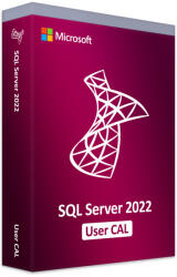Microsoft SQL Server 2022 User CAL (DG7GMGF0MF3T-0002)