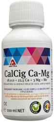 Aectra Ingrasamant foliar CALCIG Ca-Mg - 100 ml, Aectra, Legume, Fructe (PR-103986)