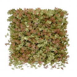 Mirpol Jiaogulan műanyag zöldfal 50x50 cm (5905610253486) - geminiduo