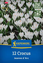 Krókusz hagyma nagyvirágú Jeanne d' Arc 12db/cs (4099682850665)