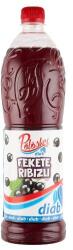 Pölöskei Diab. Gyumolcsizu Szorp 1. L Feketeribizli (drs)