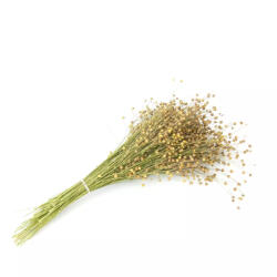  Mr. Crumble - Lencsokor 100g