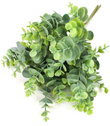 Papelito Eukaliptusz csokor hamvaszöld - virágdekorációhoz és koszorúhoz