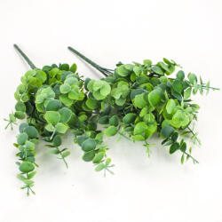  Eukaliptusz bokor hamvas zöld 2db/csomag - papelito