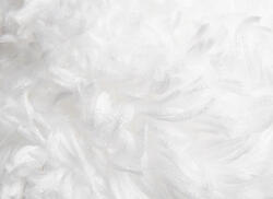  Himalaya Kuzucuk fonal 75601 - fehér