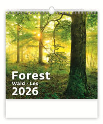 Dayliner Falinaptár képes 300 x 300 mm, fehér lapokkal Forest Dayliner 2026 (DL6FA-H171) - iroszer24