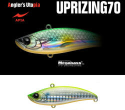 Apia UPRIZING 70 14gr 70mm 07 LGH Chart Back