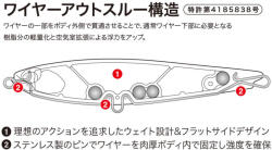 Duo ROUGH TRAIL AOMASA LIGHTNING 190F 19cm 74gr CYA0860 Scaled Sardine