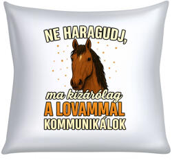  Ne haragudj, ma kizárólag a lovammal kommunikálok párna (ma_kizarolag_a_lovammal_kommunikalok_parna)