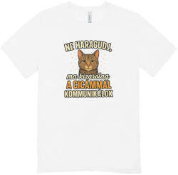  Ne haragudj, ma kizárólag az cicámmal kommunikálok férfi póló (ma_kizarolag_a_cicammal_kommunikalok_ferfi_polo)