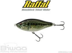 Biwaa GLIDER RAFFAL 5 S 13cm 75gr 01 Real Bass