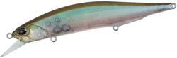 Duo REALIS JERKBAIT 110SP 11cm 16.2gr GEA3006 Ghost Minnow