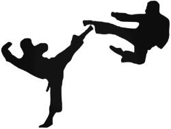 Stickify Karatézó emberek matrica