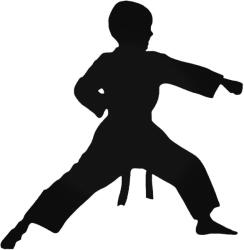 Stickify Karate kölyök matrica
