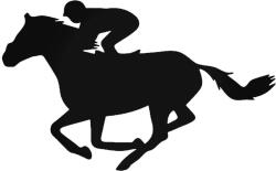 Stickify Zsoké matrica