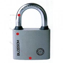 Strend Pro Lacat metal 60 mm, Blossom BC 29 Unique