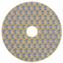 Strend Pro Disc diamantat pentru polisat piatra, marmura Strend Pro PREMIUM DP514, 100 mm, G200 Disc de taiere