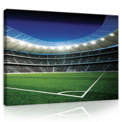 Consalnet Vászonkép, Stadion, 80x60 cm méretben (C5-20105O6)
