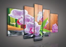Consalnet Vászonkép, 5 darabos, Orchidea zen 170x100 cm méretben (C5-106S4A)