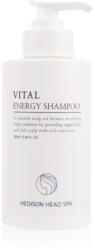 Dr. HEDISON Vital Energy sampon a hajra és a fejbőrre 280 ml