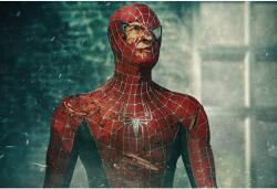 Tobey Maguire Poszter Spiderman, 61x90cm, poster1182, Többszínű (poster1182-7777777777777787219)