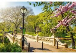  Városkép tavaszi díszlete Vászonfestmény, 80x50cm, vászonfestmény1225, Többszínű (tabloucanvas1225/50x80cm)