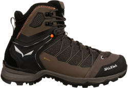 Salewa Încălțăminte outdoor pentru bărbați MTN Trainer Lite MID GTX Bungee Cord/Black UK 8