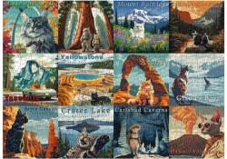 bboldin Z-392 - Cats National Parks - 1000 db-os puzzle (Z-392)