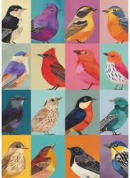 bboldin Z-568 - Avian Friends - 1000 db-os puzzle (Z-568)